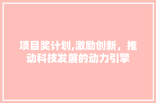 项目奖计划,激励创新，推动科技发展的动力引擎