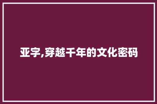 亚字,穿越千年的文化密码