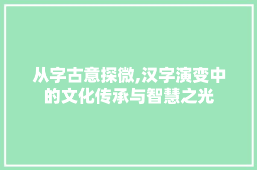 从字古意探微,汉字演变中的文化传承与智慧之光