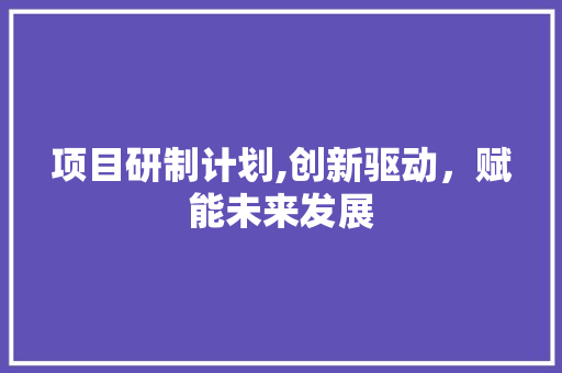 项目研制计划,创新驱动，赋能未来发展