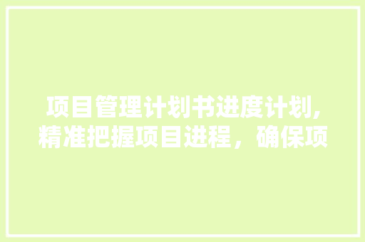 项目管理计划书进度计划,精准把握项目进程，确保项目高效实施