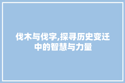 伐木与伐字,探寻历史变迁中的智慧与力量