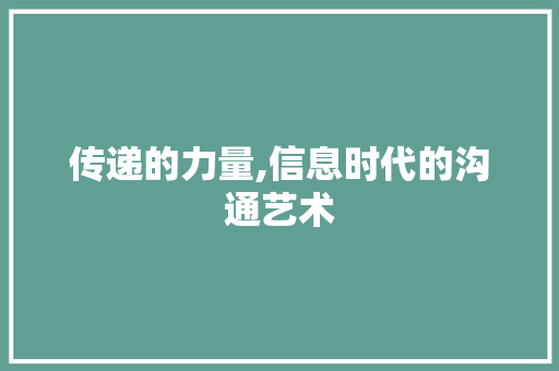 传递的力量,信息时代的沟通艺术