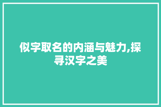 似字取名的内涵与魅力,探寻汉字之美