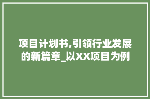 项目计划书,引领行业发展的新篇章_以XX项目为例