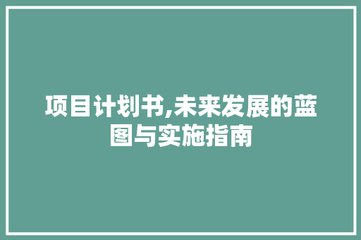 项目计划书,未来发展的蓝图与实施指南