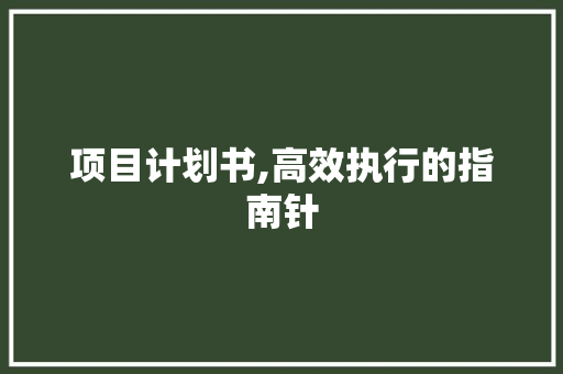 项目计划书,高效执行的指南针