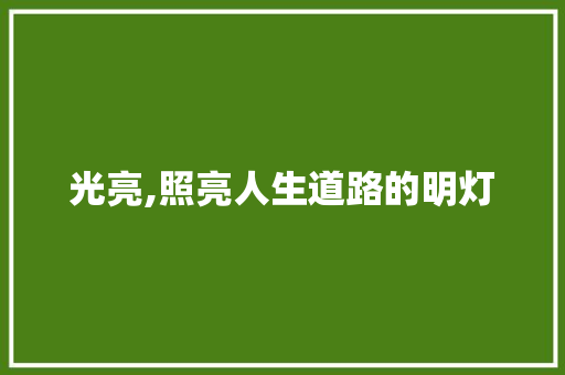 光亮,照亮人生道路的明灯