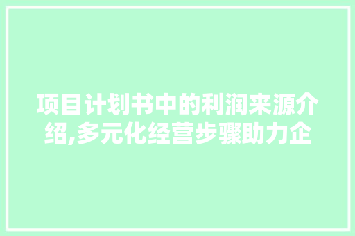 项目计划书中的利润来源介绍,多元化经营步骤助力企业腾飞