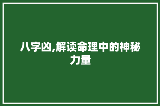 八字凶,解读命理中的神秘力量