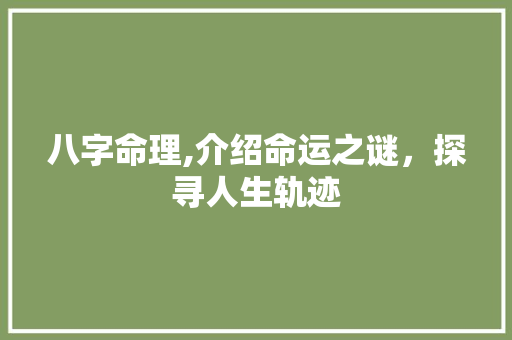 八字命理,介绍命运之谜，探寻人生轨迹