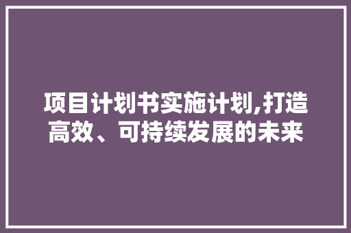 项目计划书实施计划,打造高效、可持续发展的未来