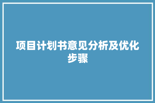 项目计划书意见分析及优化步骤