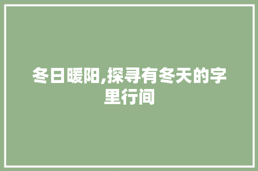 冬日暖阳,探寻有冬天的字里行间