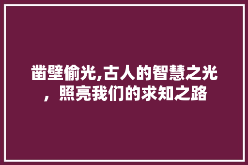 凿壁偷光,古人的智慧之光，照亮我们的求知之路