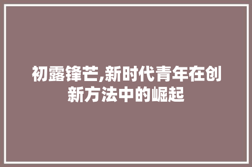 初露锋芒,新时代青年在创新方法中的崛起