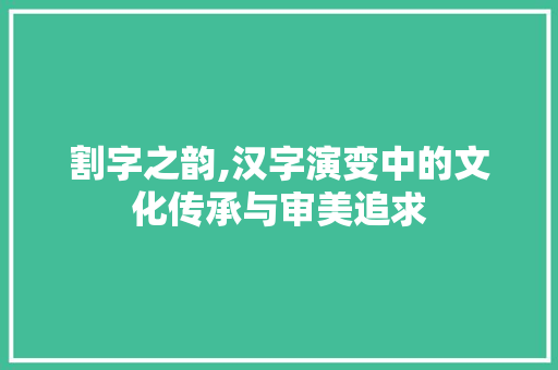 割字之韵,汉字演变中的文化传承与审美追求