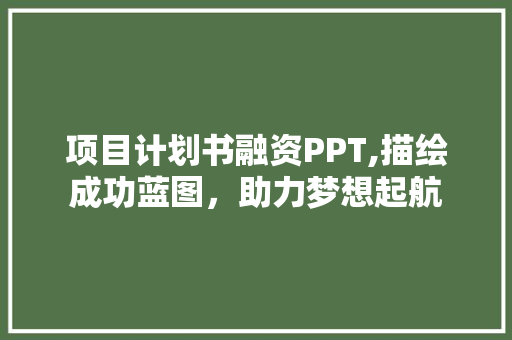 项目计划书融资PPT,描绘成功蓝图，助力梦想起航