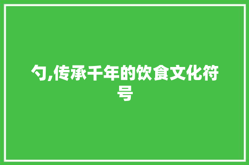 勺,传承千年的饮食文化符号