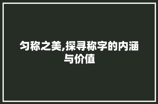 匀称之美,探寻称字的内涵与价值