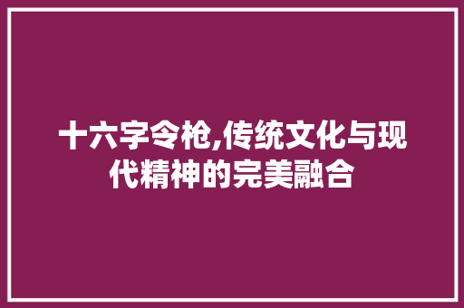 十六字令枪,传统文化与现代精神的完美融合 近义词汇