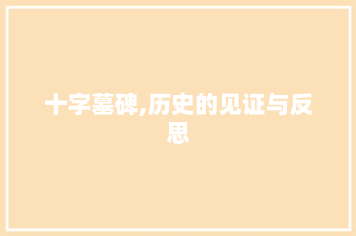 十字墓碑,历史的见证与反思