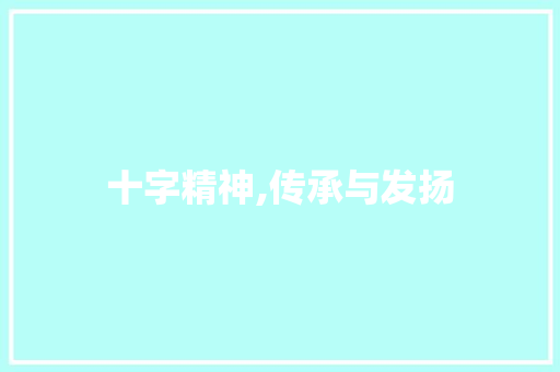 十字精神,传承与发扬