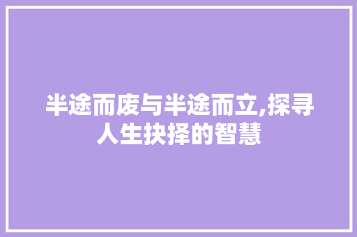 半途而废与半途而立,探寻人生抉择的智慧 英语单词