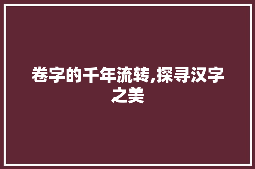 卷字的千年流转,探寻汉字之美