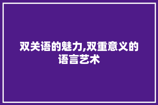双关语的魅力,双重意义的语言艺术