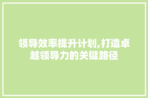 领导效率提升计划,打造卓越领导力的关键路径