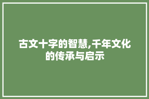 古文十字的智慧,千年文化的传承与启示