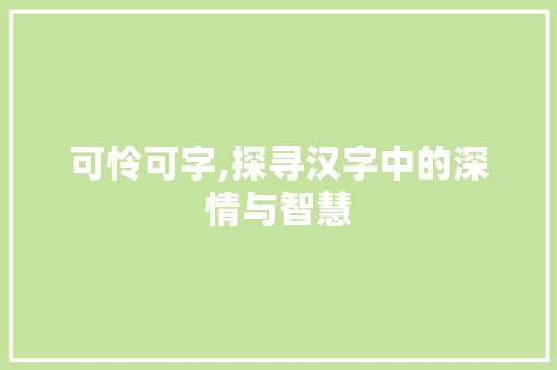 可怜可字,探寻汉字中的深情与智慧