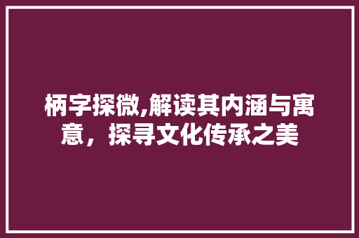 柄字探微,解读其内涵与寓意，探寻文化传承之美