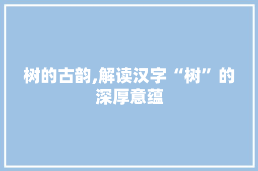 树的古韵,解读汉字“树”的深厚意蕴