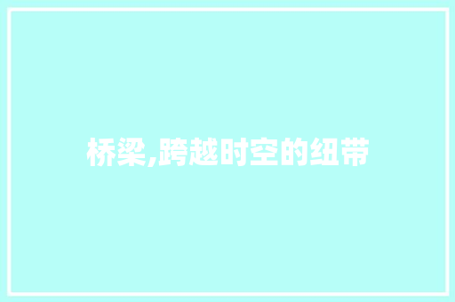 桥梁,跨越时空的纽带