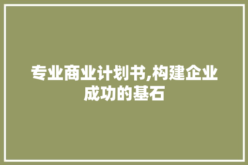 专业商业计划书,构建企业成功的基石