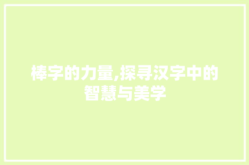 棒字的力量,探寻汉字中的智慧与美学