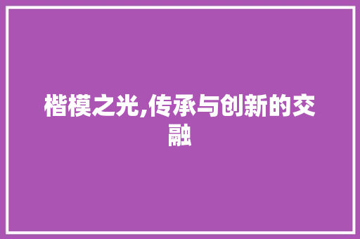 楷模之光,传承与创新的交融