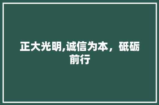 正大光明,诚信为本，砥砺前行