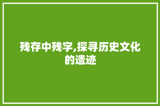 残存中残字,探寻历史文化的遗迹