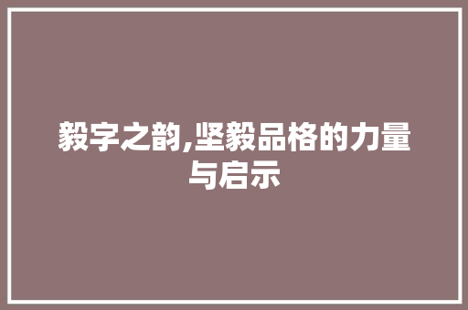 毅字之韵,坚毅品格的力量与启示