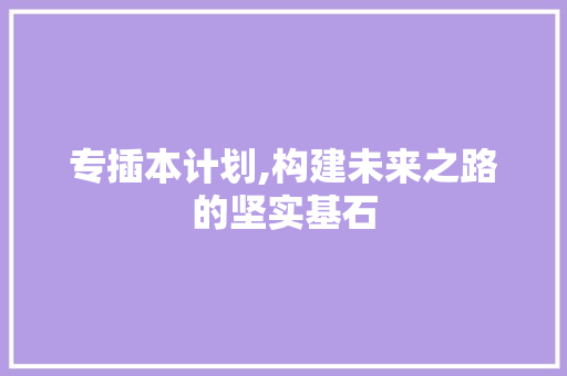专插本计划,构建未来之路的坚实基石