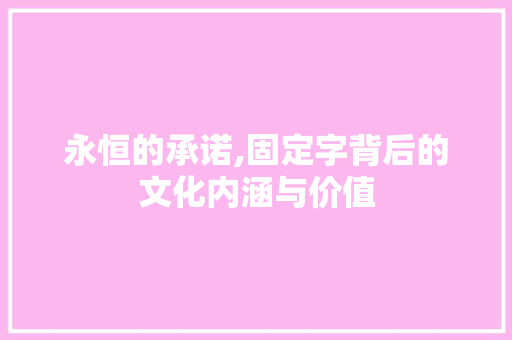 永恒的承诺,固定字背后的文化内涵与价值
