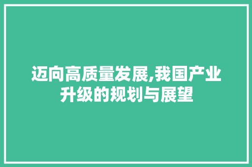 迈向高质量发展,我国产业升级的规划与展望