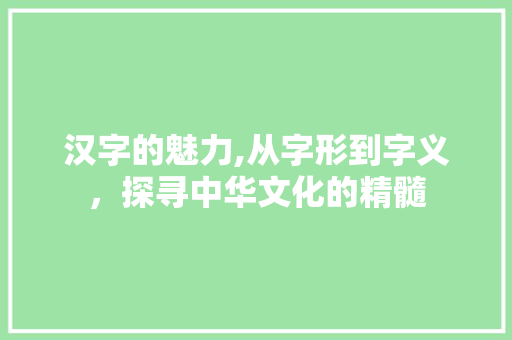 汉字的魅力,从字形到字义，探寻中华文化的精髓