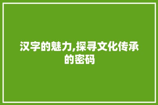 汉字的魅力,探寻文化传承的密码