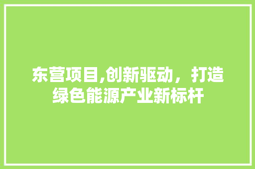 东营项目,创新驱动，打造绿色能源产业新标杆