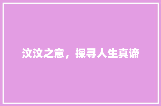 汶汶之意，探寻人生真谛
