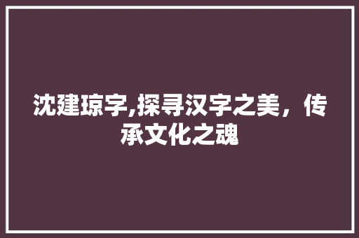 沈建琼字,探寻汉字之美，传承文化之魂